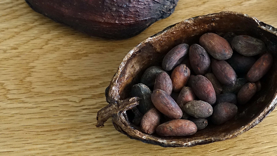 0_cacao-beans