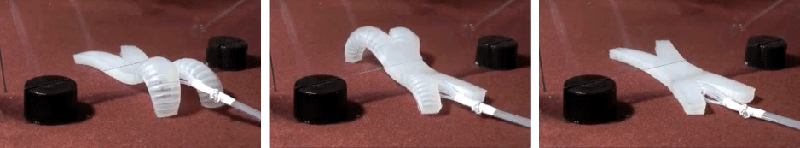 multi-gait-soft-robot